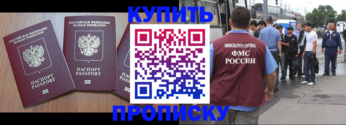 прописка 2025 в Камышине